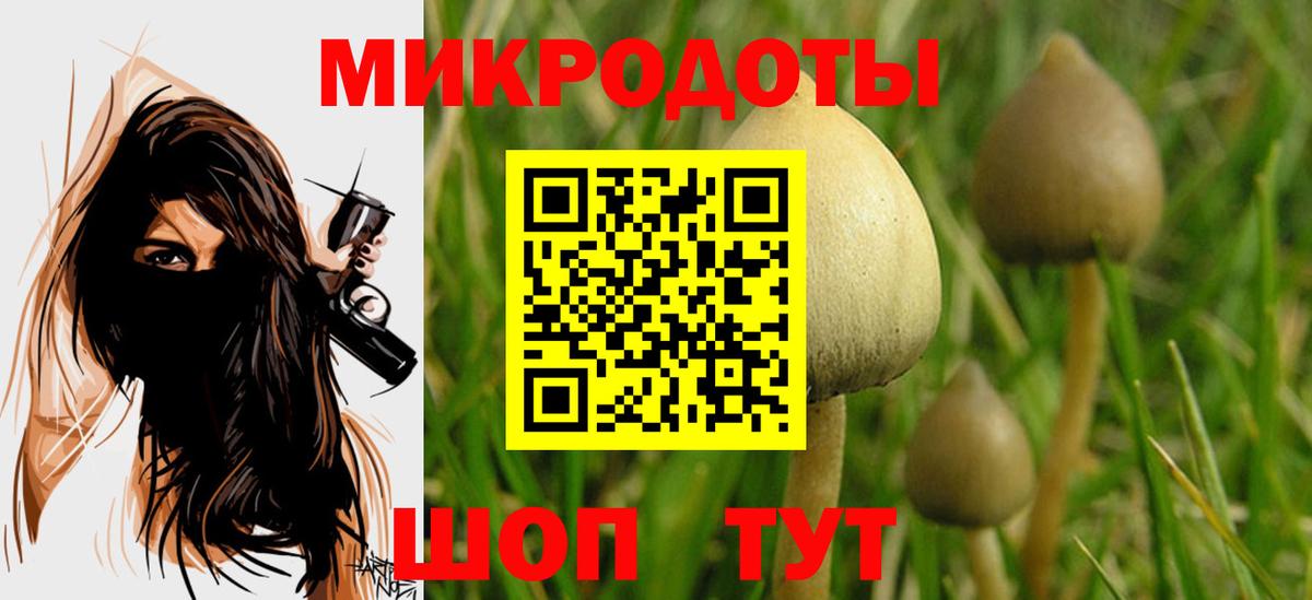 Псилоцибиновые грибы мухоморы Партизанск