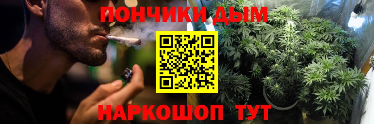 Шишки марихуана планчик  Бошки марихуана сатива  Марихуана конопля  Партизанск  Вход с VPN 
